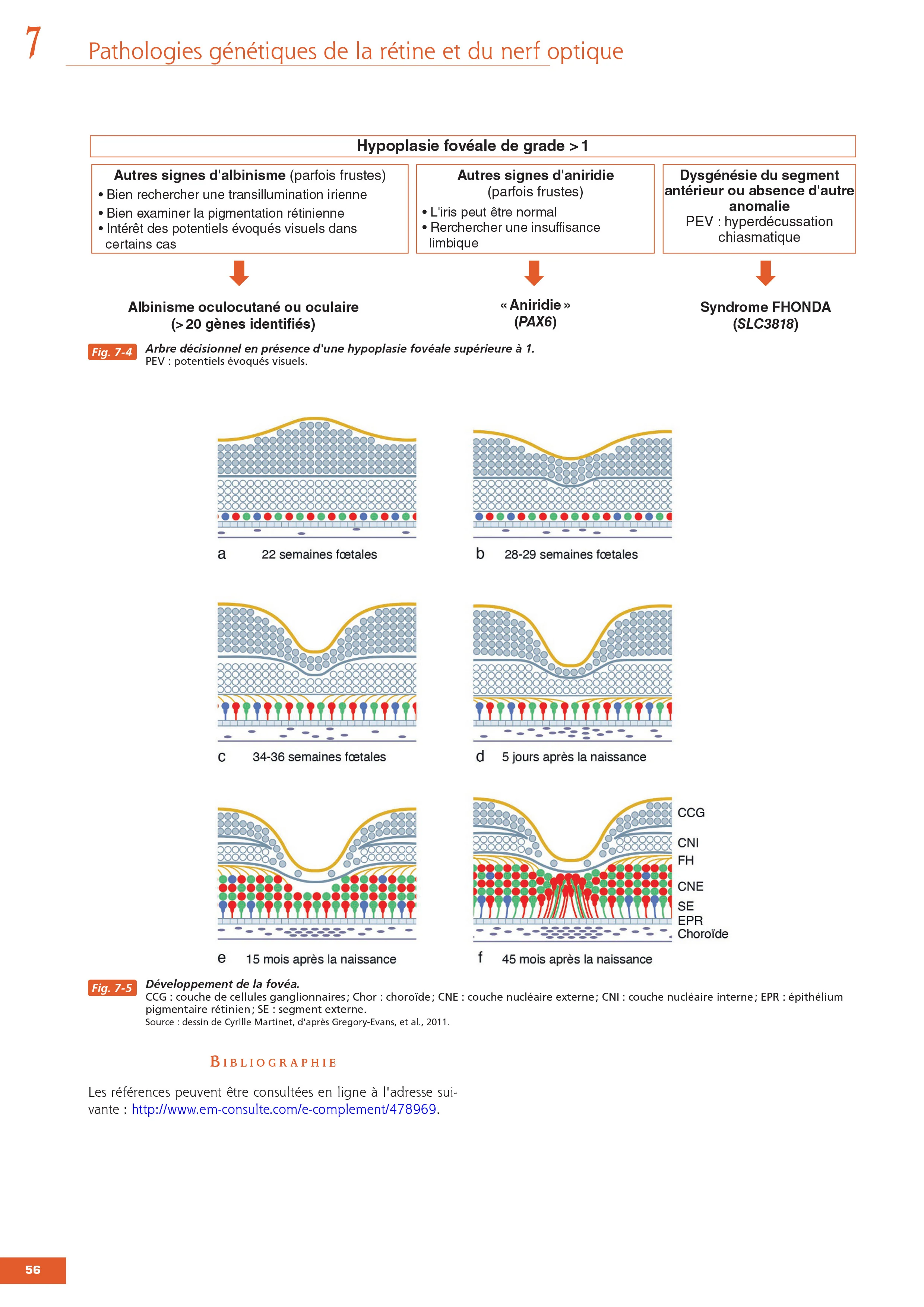 Des gènes aux traitements en ophtalmologie. Rapport SFO 2026 - Image 6