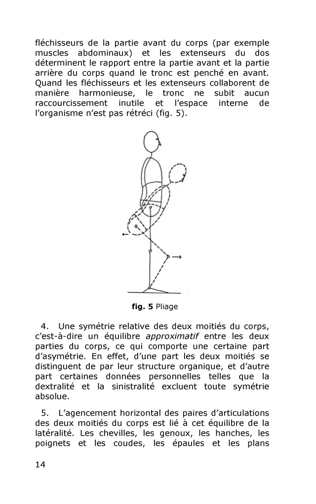 Rolfing - Intégration structurale - Image 37