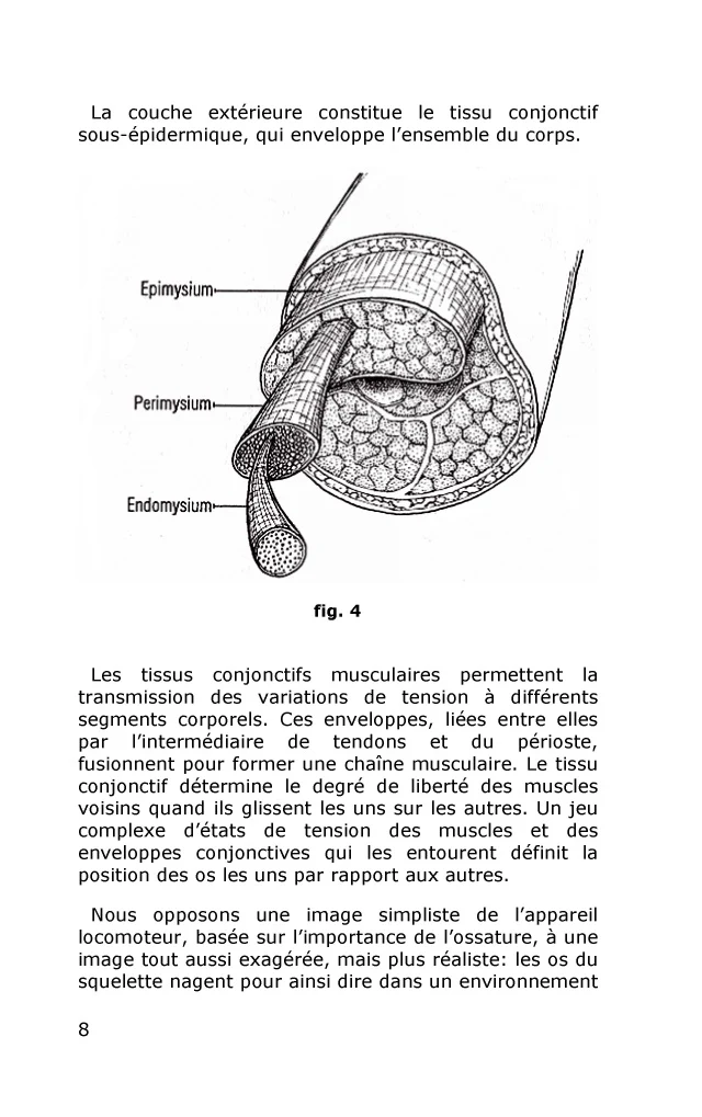 Rolfing - Intégration structurale - Image 43