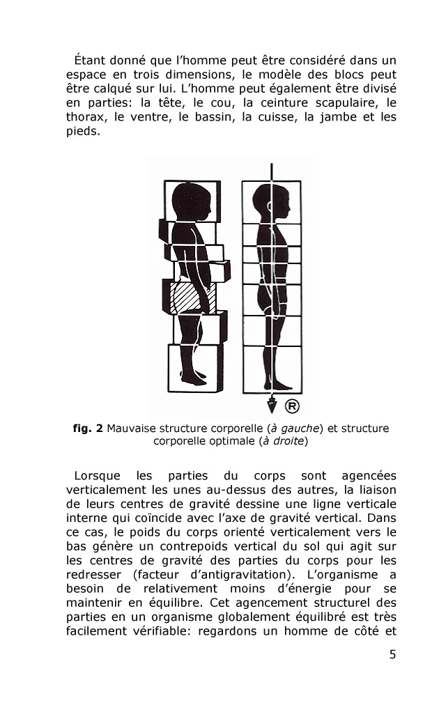 Rolfing - Intégration structurale - Image 46