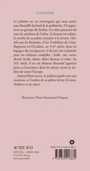 Le Palmier - Image 2