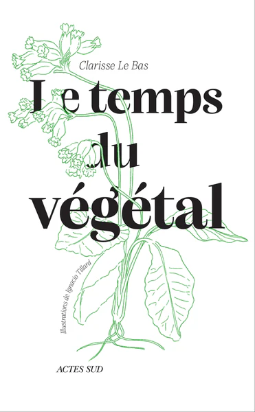 Le temps du végétal - Image 3