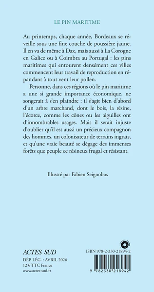 Le Pin maritime - Image 2