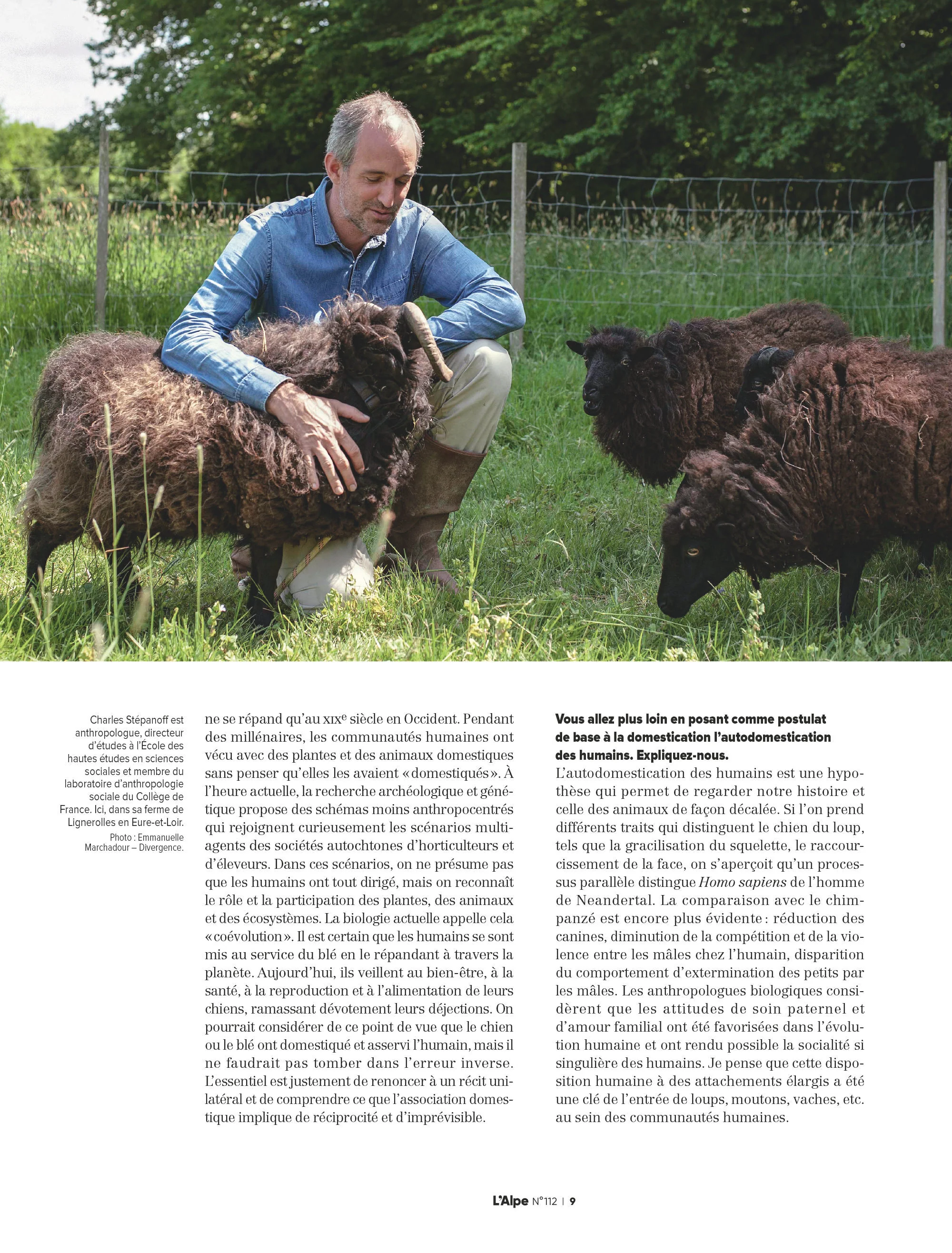 L'Alpe T112 - Domestique ou sauvage, l'animal - Image 3