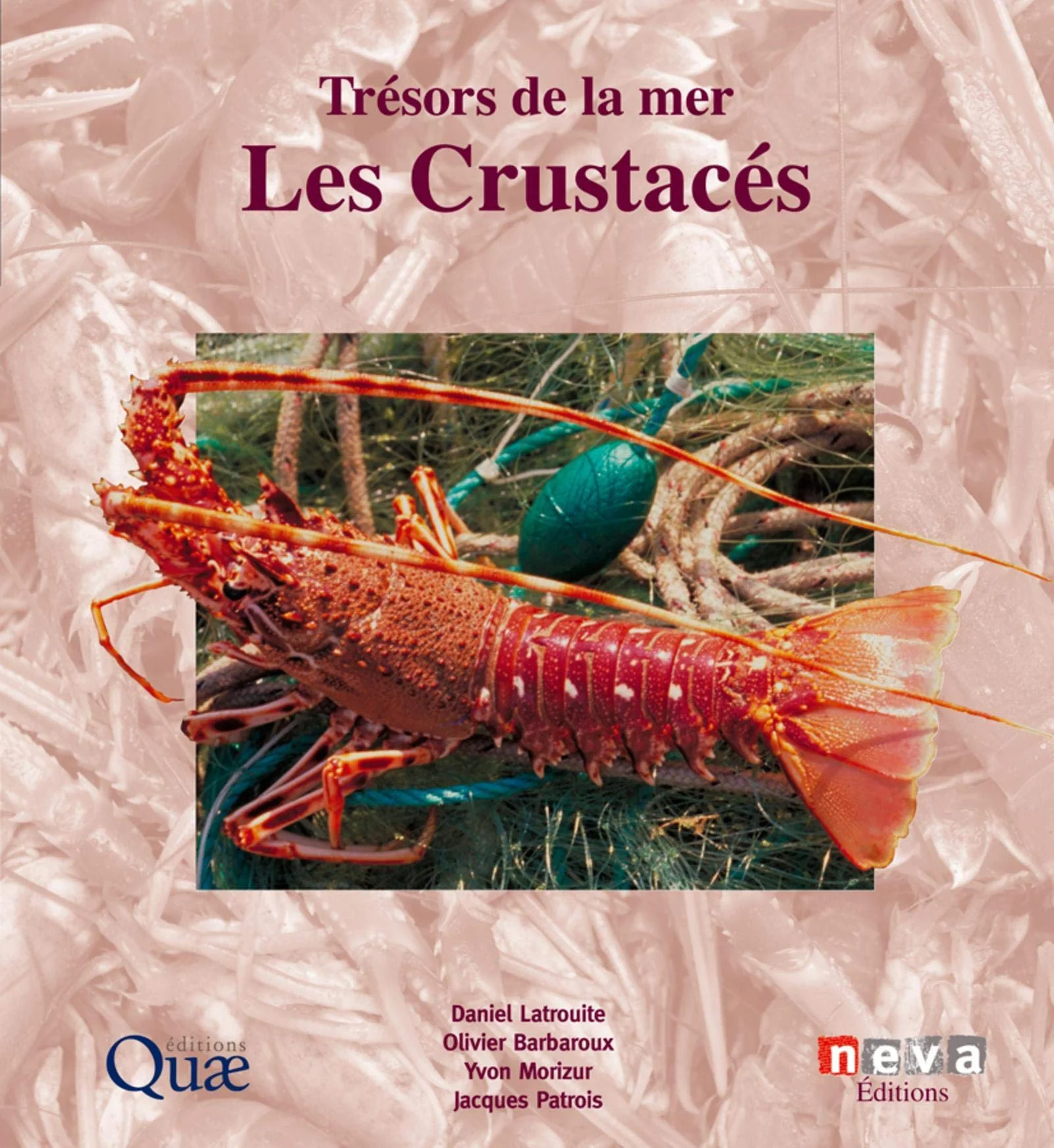 Trésors de la mer : Les crustacés - Image 2