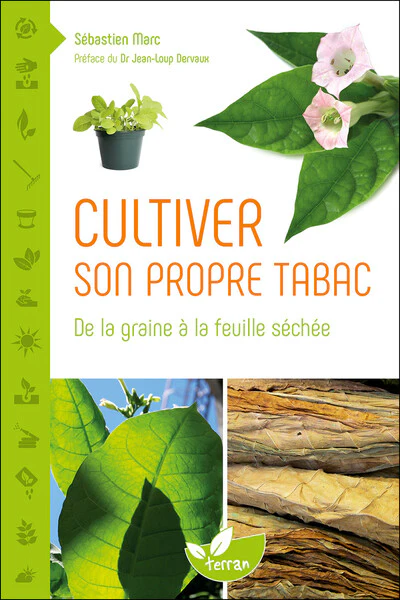 Cultiver son propre tabac - De la graine à la feuille séchée - Image 26