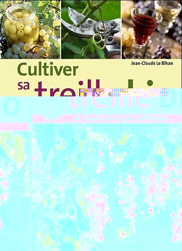 Cultiver sa treille bio: Et réussir vin, jus, confitures... - Image 2