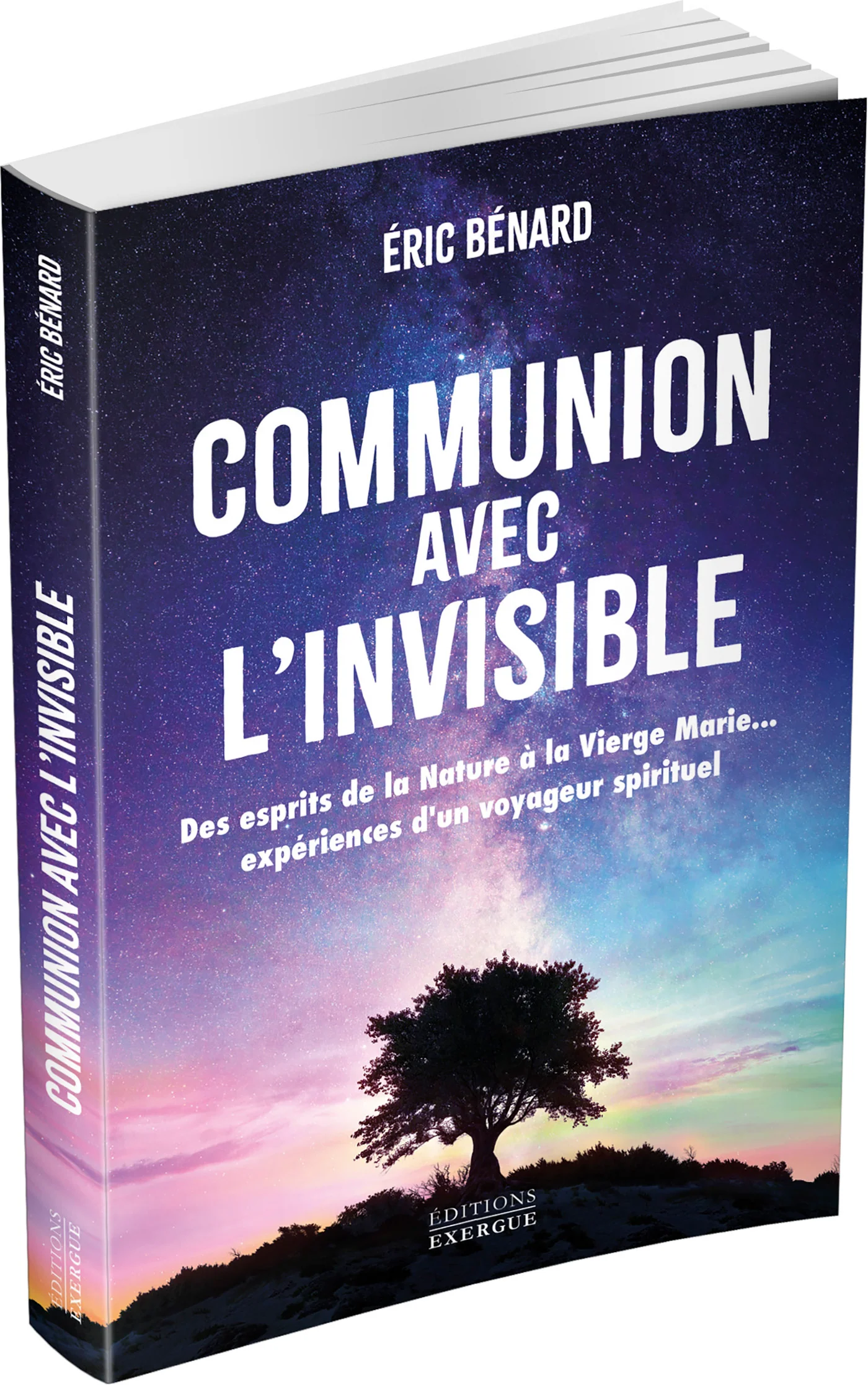 Communion avec l'invisible - Des esprits de la Nature à la Vierge Marie... expériences d'un voyageur spirituel - Image 3