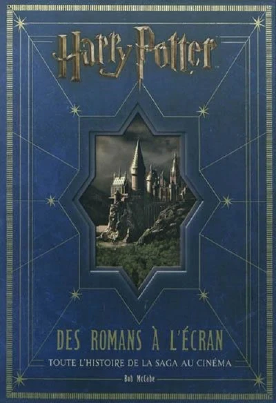 Harry Potter : Des romans à l'écran, toute l'histoire de la saga au cinéma - Image 2