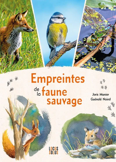 Empreintes de la faune sauvage - Image 2