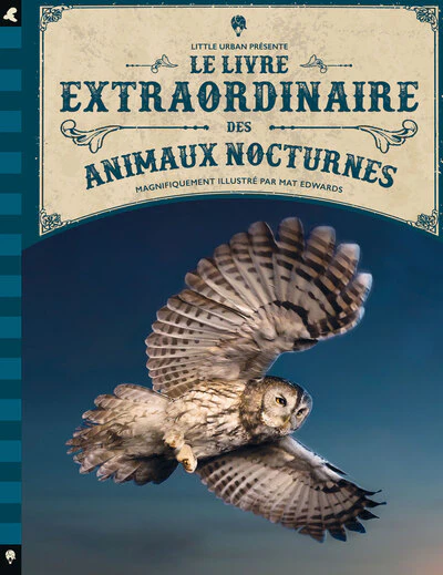 Le Livre extraordinaire des animaux nocturnes - Image 2
