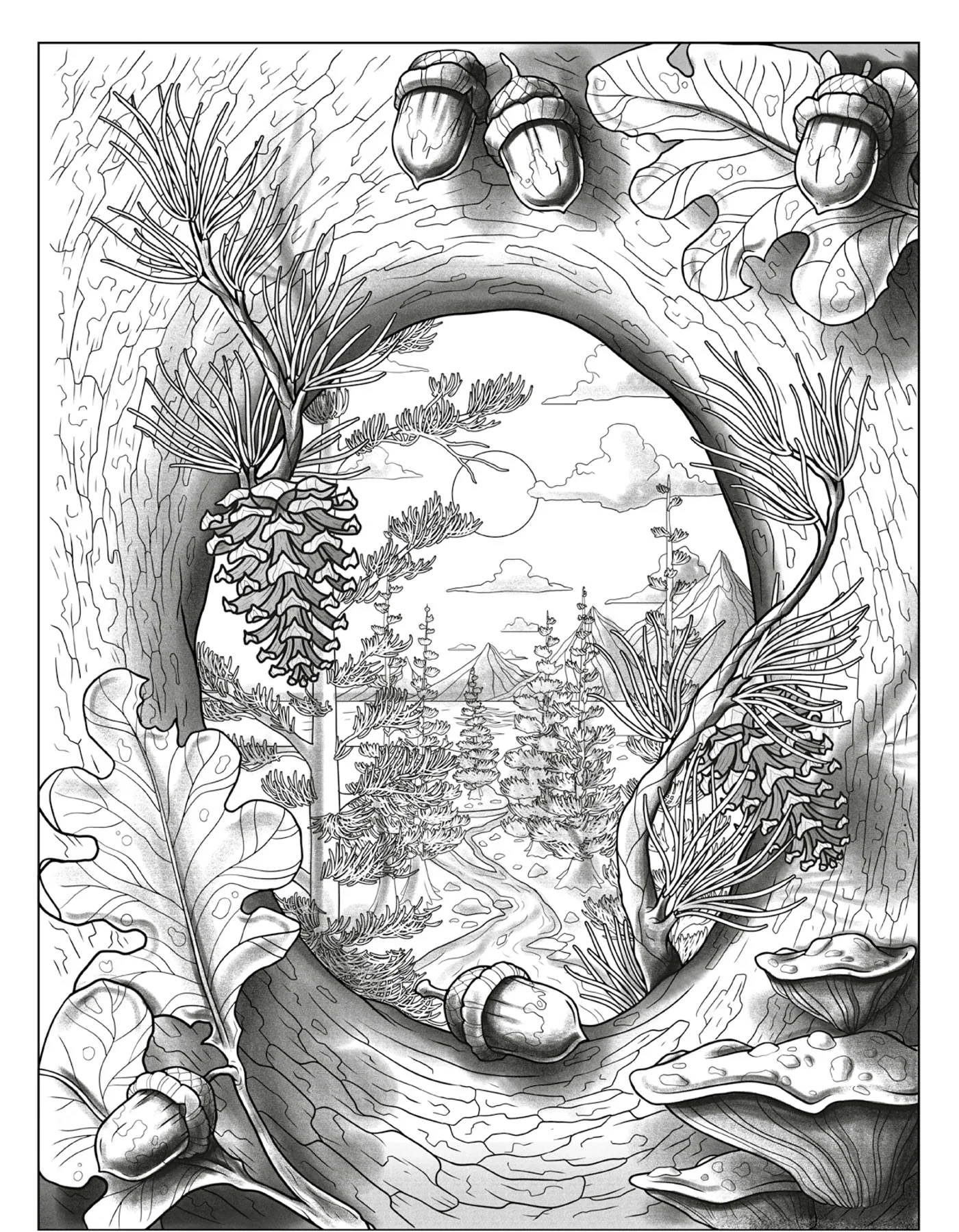 Dimensions - Image 4