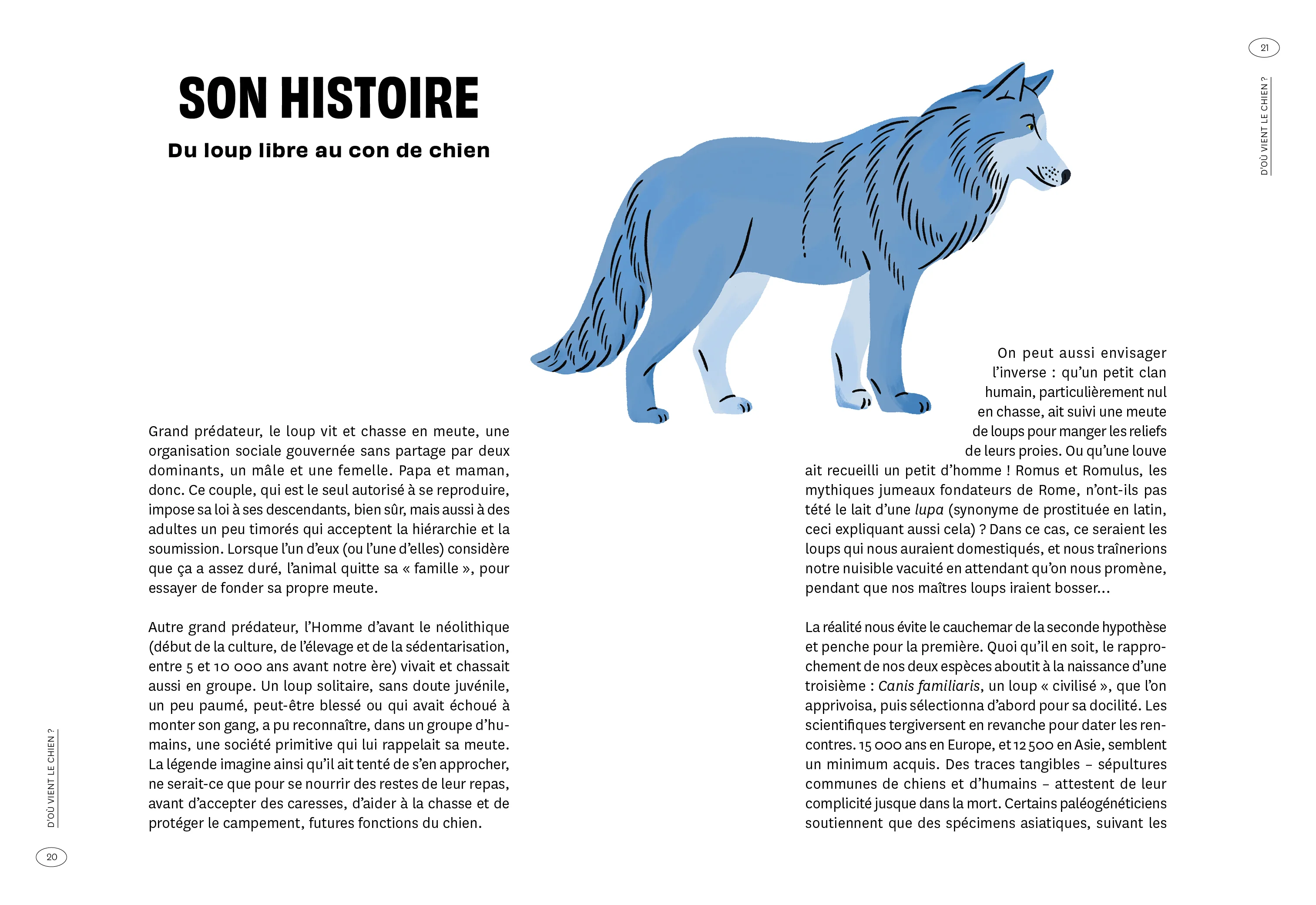 Con de chien - Image 4