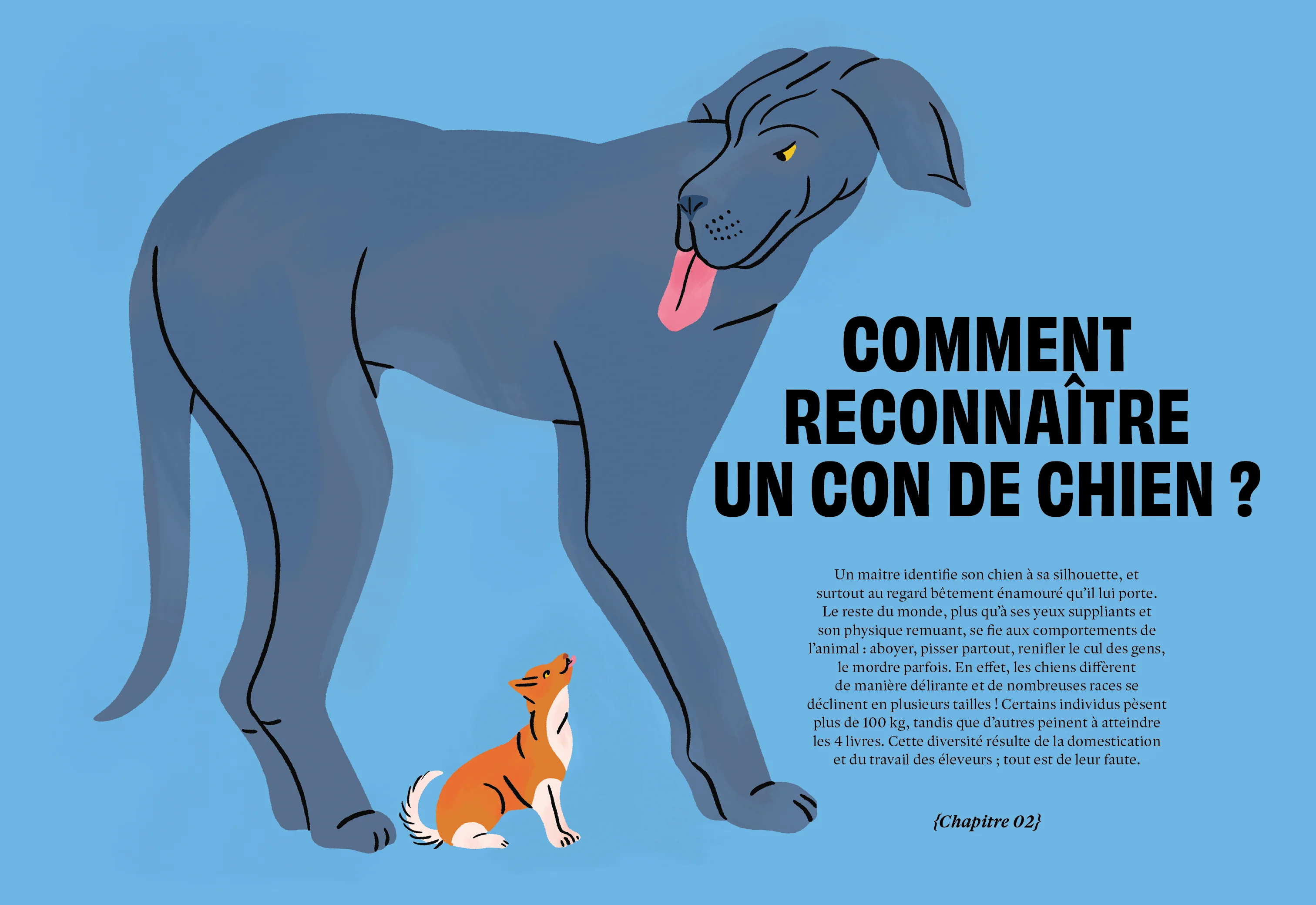 Con de chien - Image 5