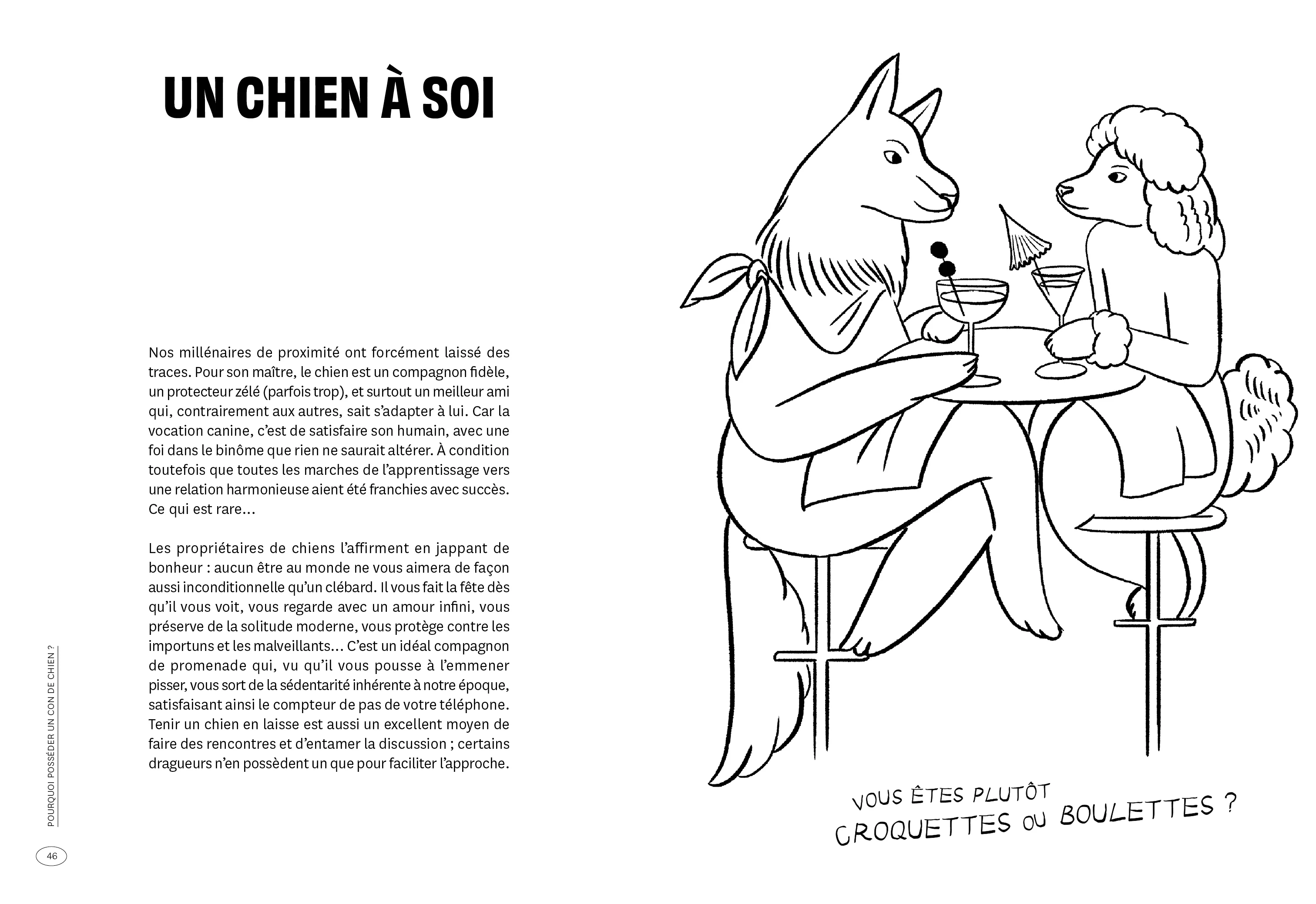 Con de chien - Image 6