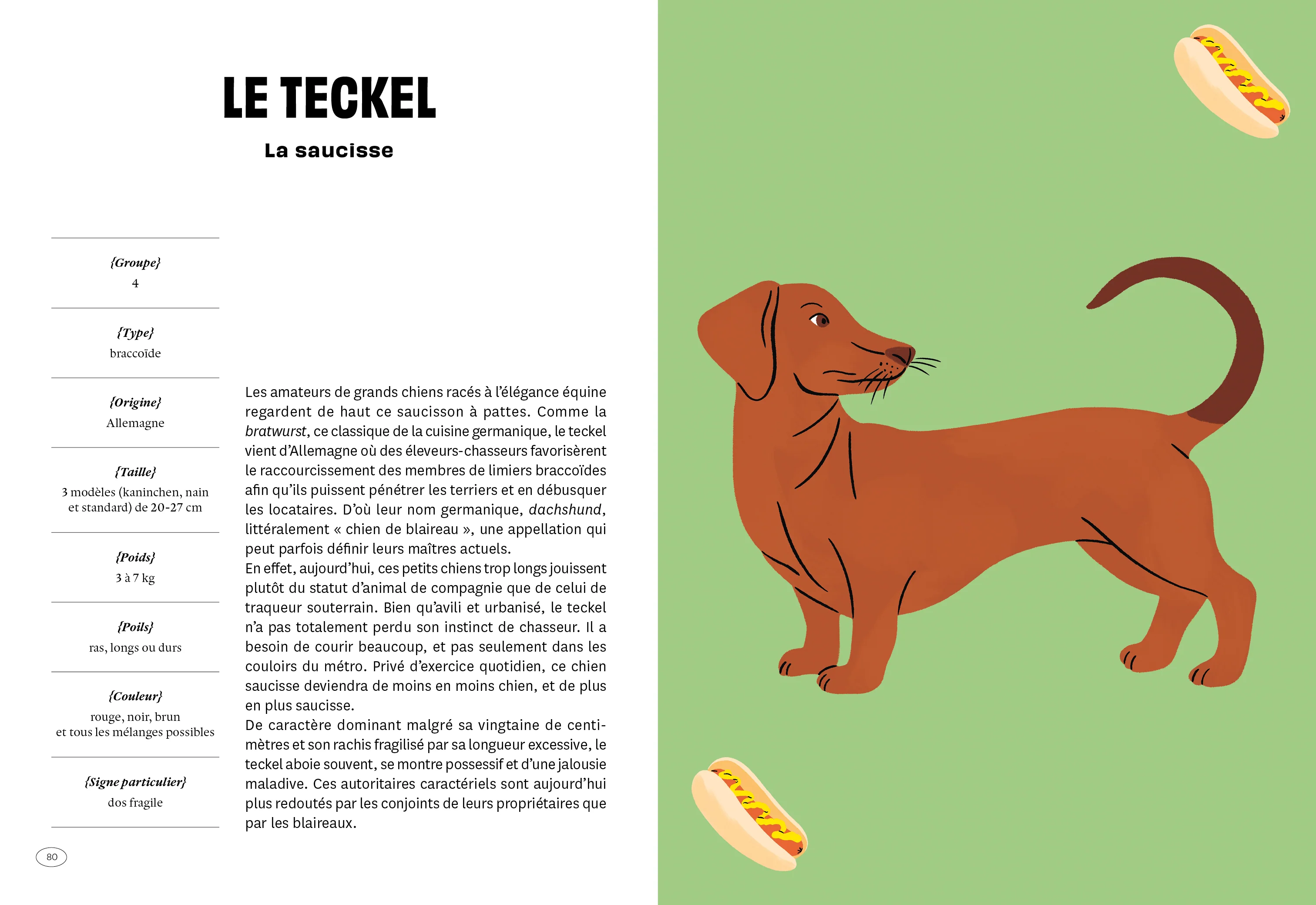 Con de chien - Image 7