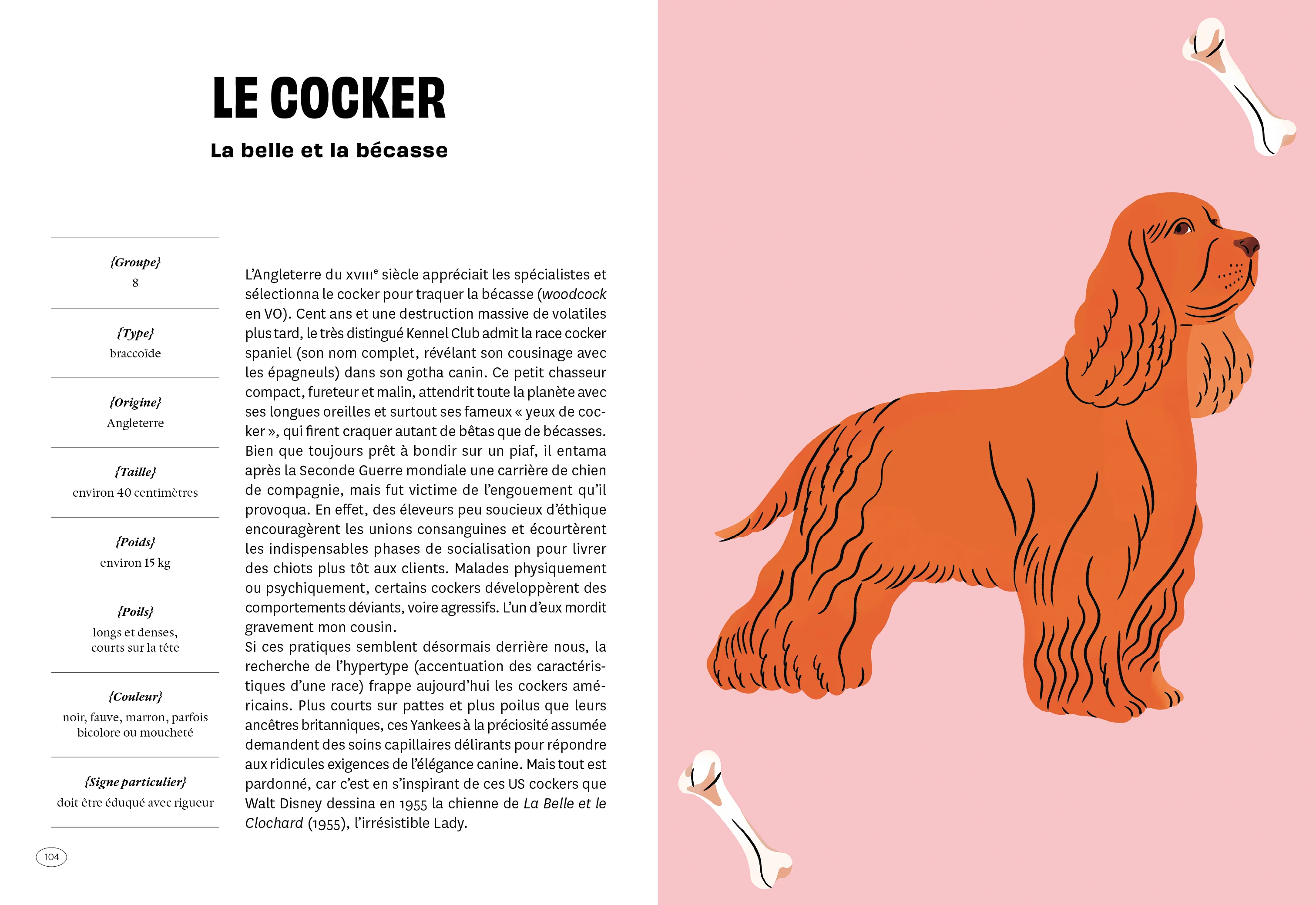 Con de chien - Image 8