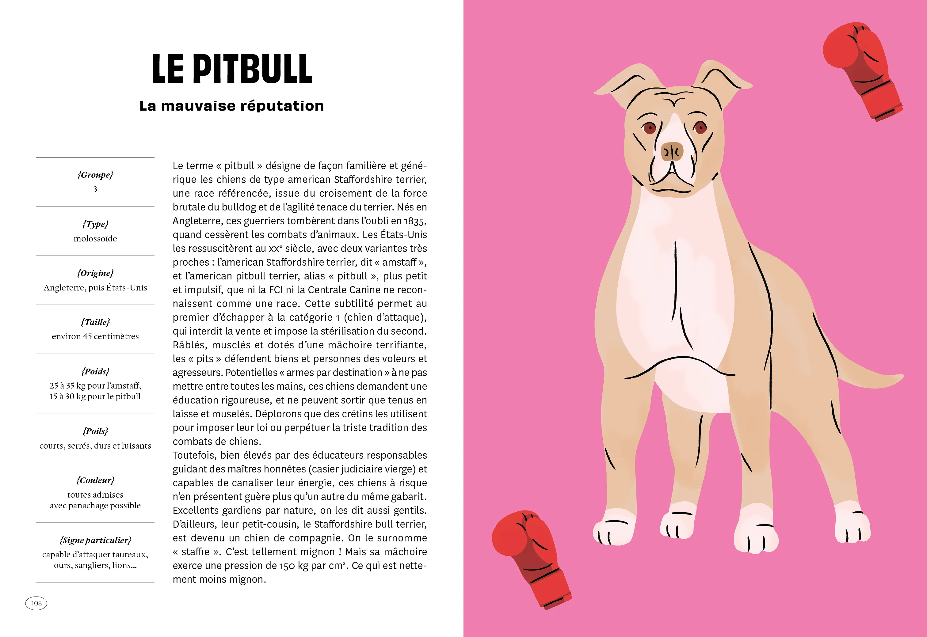 Con de chien - Image 9