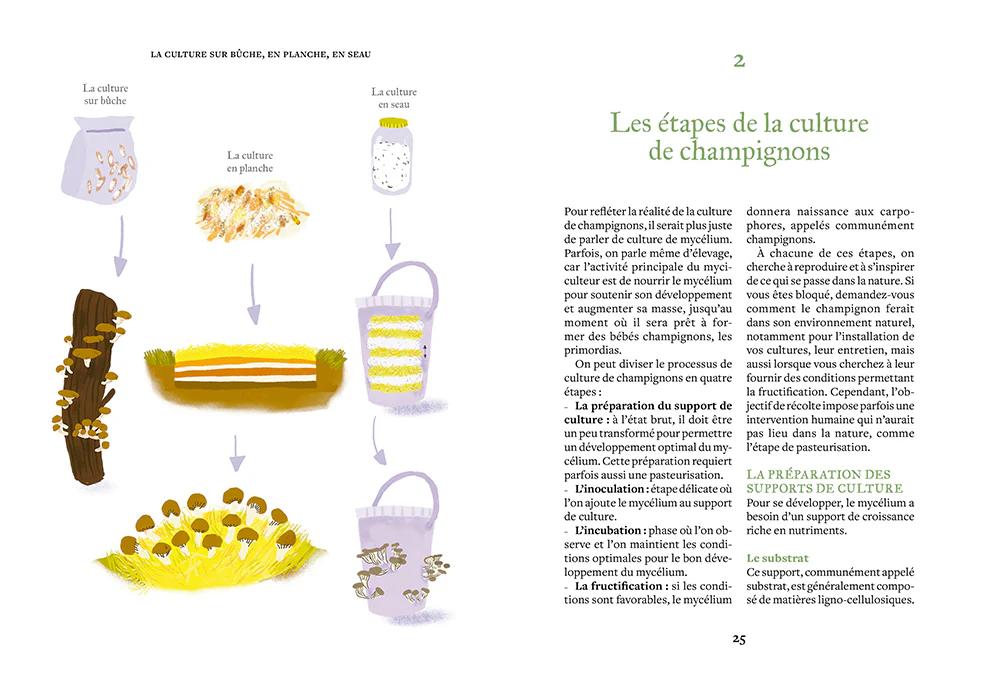 Cultiver ses champignons - En planche, en seau, sur bûche - Image 3