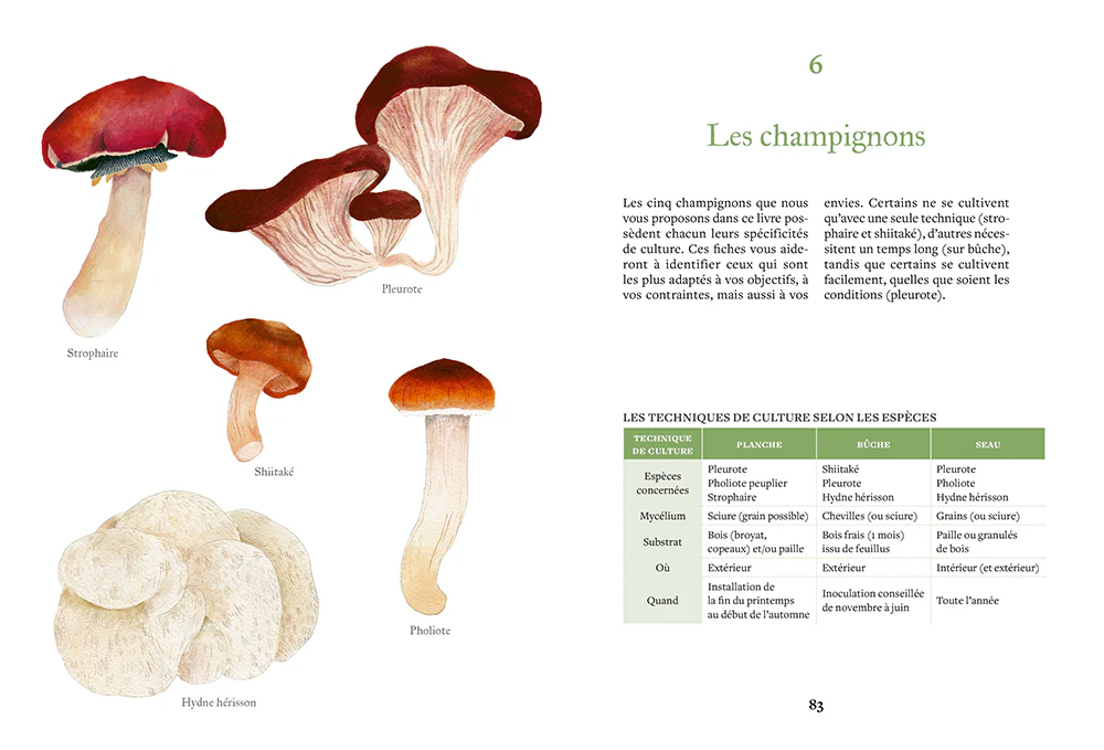 Cultiver ses champignons - En planche, en seau, sur bûche - Image 4