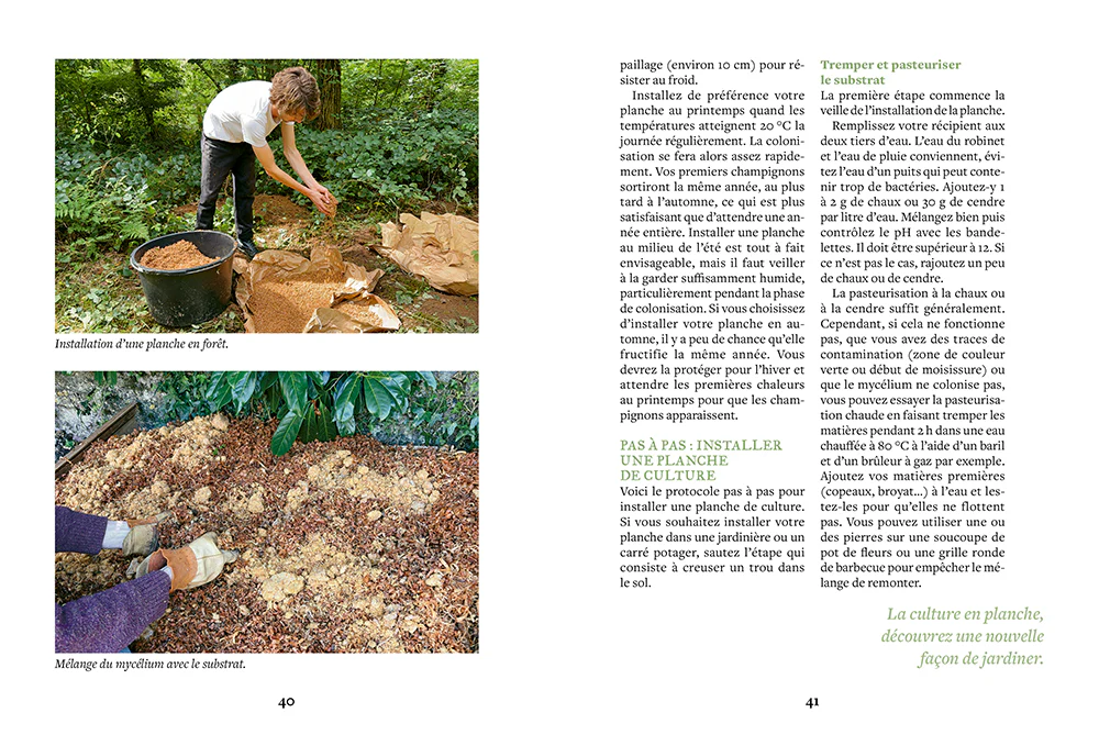 Cultiver ses champignons - En planche, en seau, sur bûche - Image 7