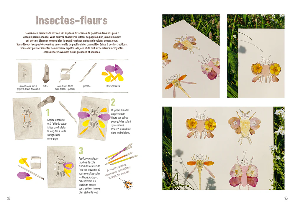 Pierre, feuille, ciseaux - Petites créations à réaliser en famille avec les trésors de la nature - Image 2