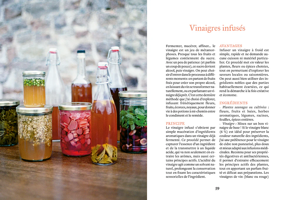 Faire ses bocaux - Un garde-manger qui traverse les saisons - Image 4