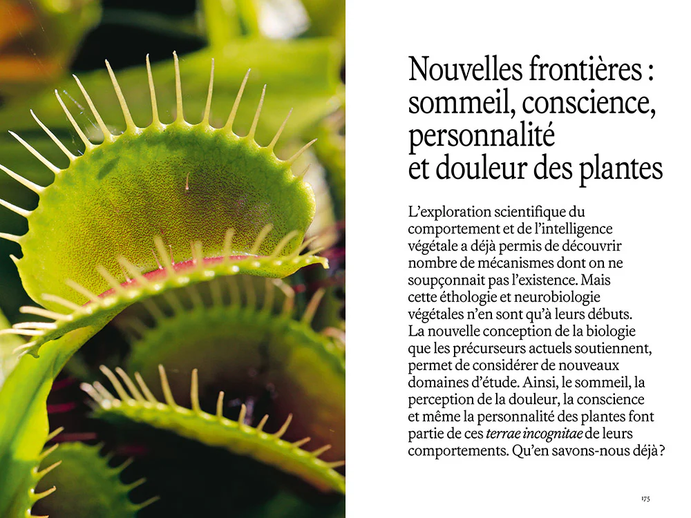 L'intelligence des plantes - Sensibilité, communication, apprentissage, personnalité... Quand la science bouscule nos préjugés - Image 2