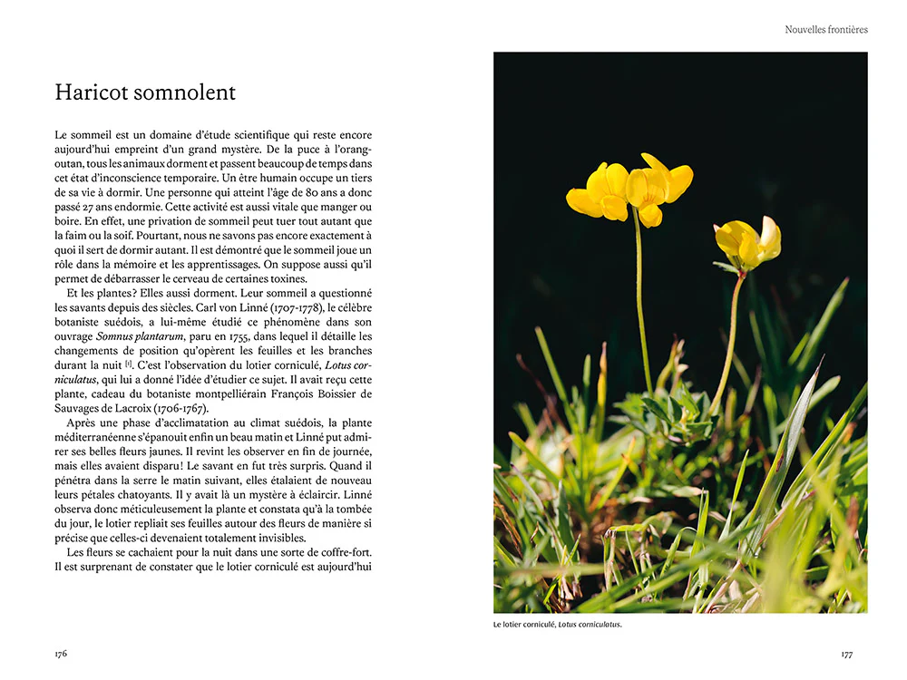 L'intelligence des plantes - Sensibilité, communication, apprentissage, personnalité... Quand la science bouscule nos préjugés - Image 3