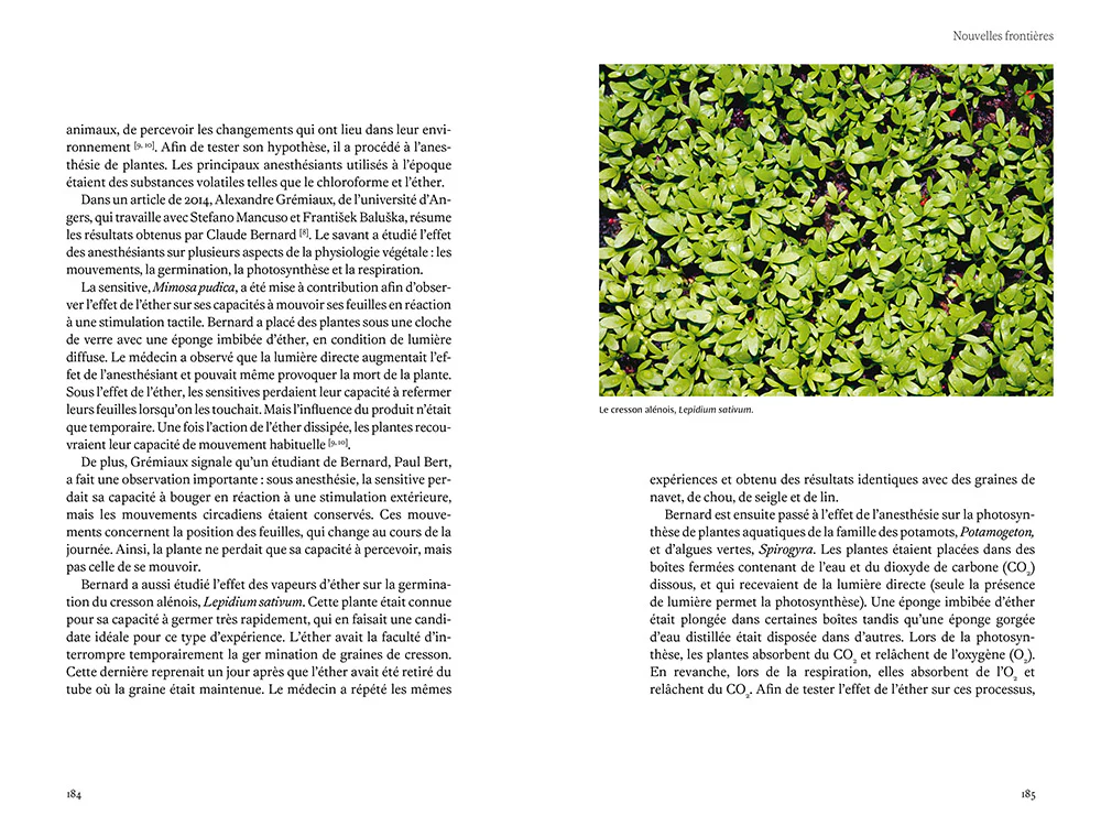 L'intelligence des plantes - Sensibilité, communication, apprentissage, personnalité... Quand la science bouscule nos préjugés - Image 6