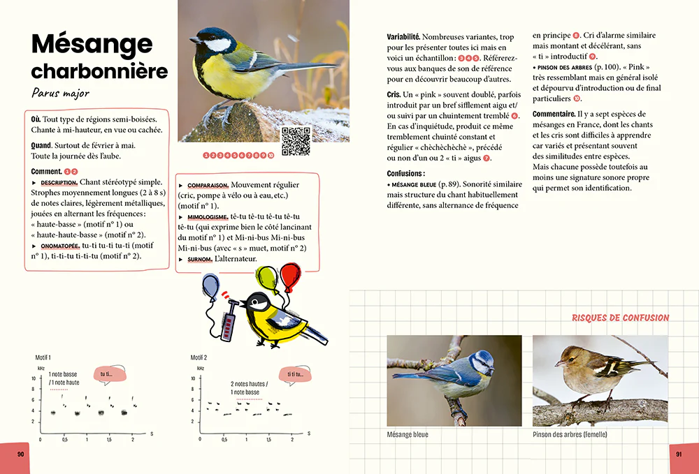 Reconnaître & retenir les chants d'oiseaux - La méthode en 5 étapes - 85 espèces et 180 chants - Image 10