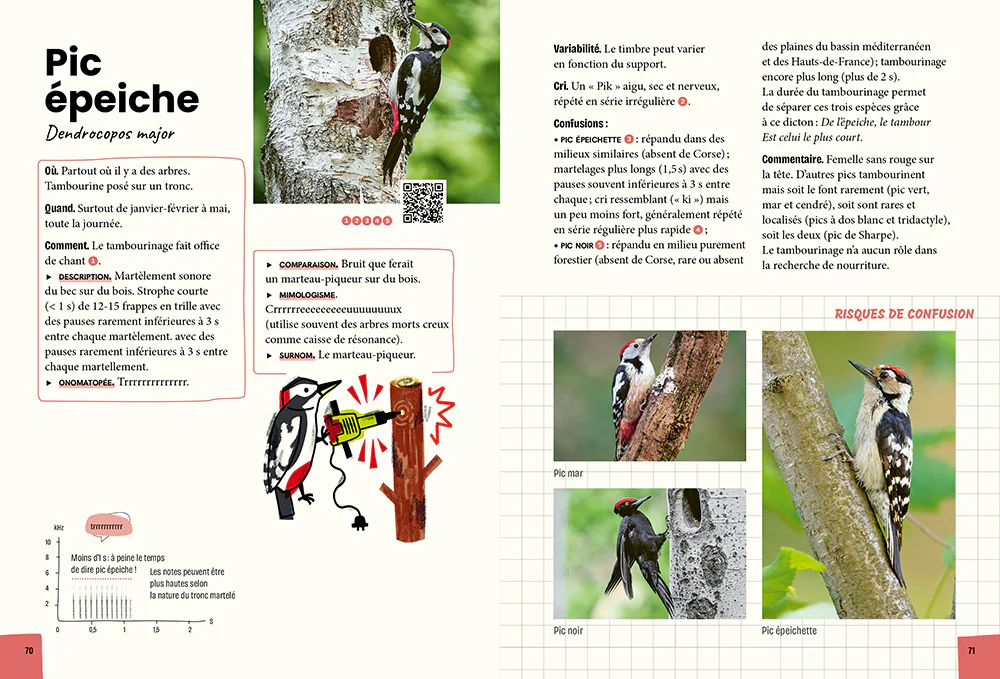 Reconnaître & retenir les chants d'oiseaux - La méthode en 5 étapes - 85 espèces et 180 chants - Image 7