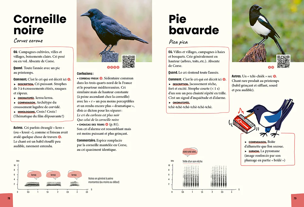 Reconnaître & retenir les chants d'oiseaux - La méthode en 5 étapes - 85 espèces et 180 chants - Image 8