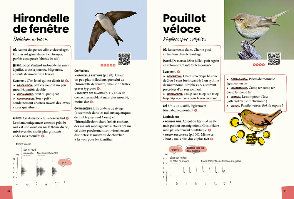 Reconnaître & retenir les chants d'oiseaux - La méthode en 5 étapes - 85 espèces et 180 chants - Image 9
