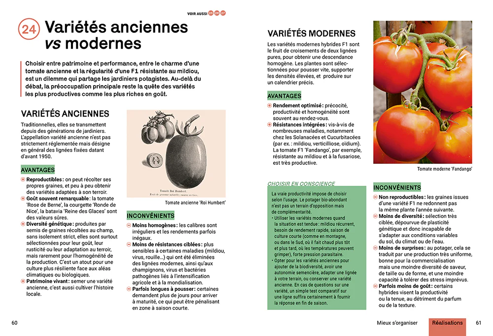 Produire des légumes en abondance - Naturellement sans engrais ni pesticides, récolter toute l'année sur une petite surface, choisir des variétés productives - Image 6