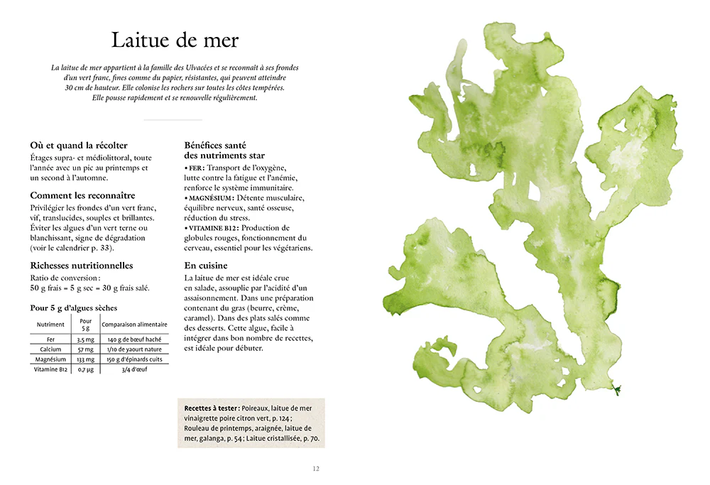La cuisine des algues - Cueillette et recettes iodées - Image 2