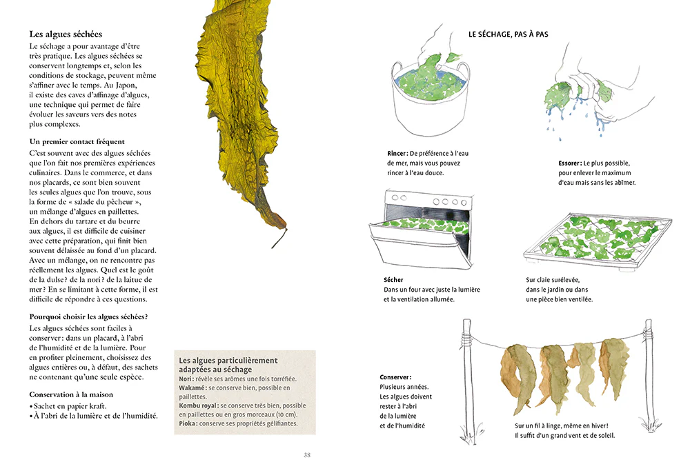 La cuisine des algues - Cueillette et recettes iodées - Image 3