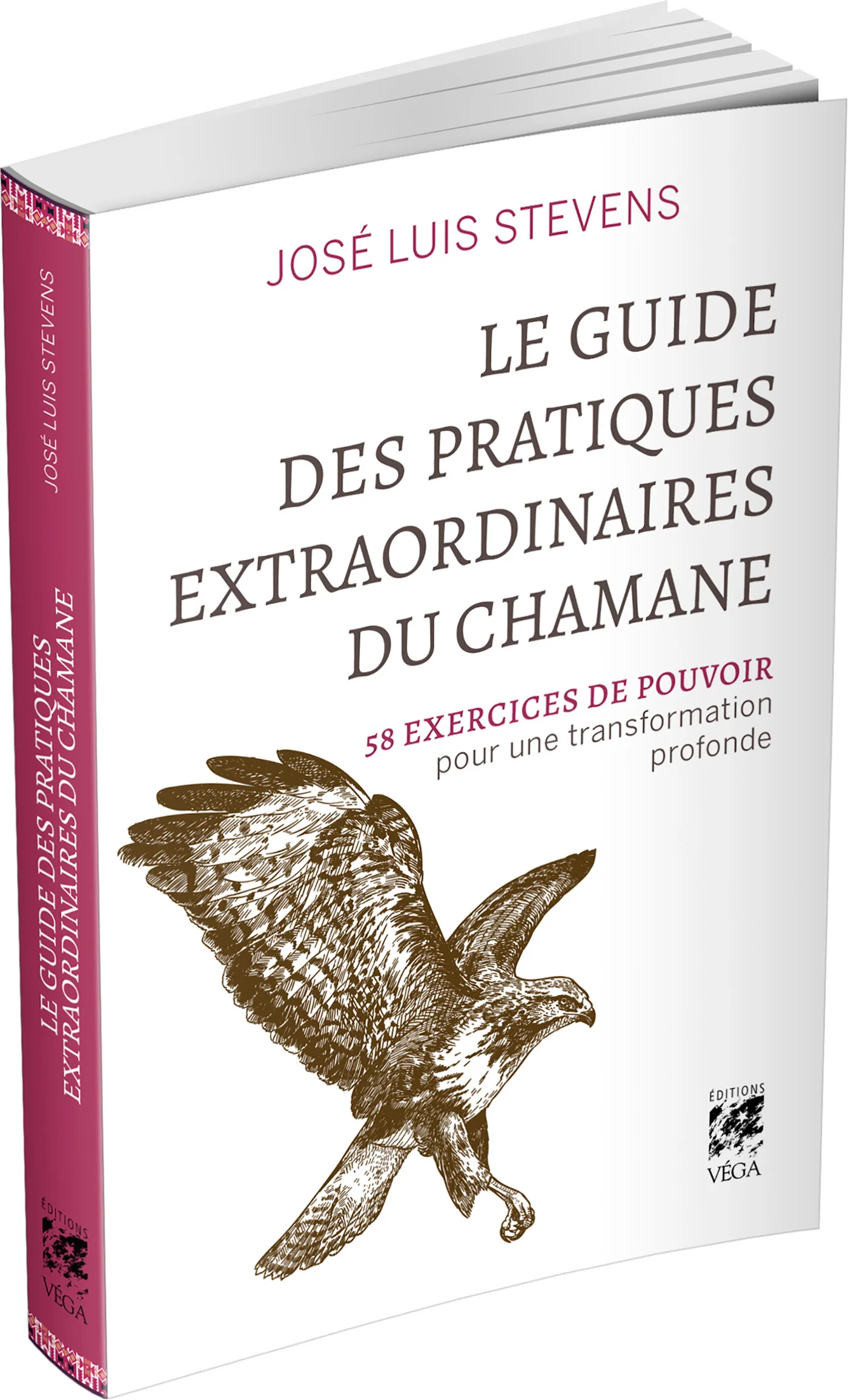 Le Guide des pratiques extraordinaires du chamane - Image 3