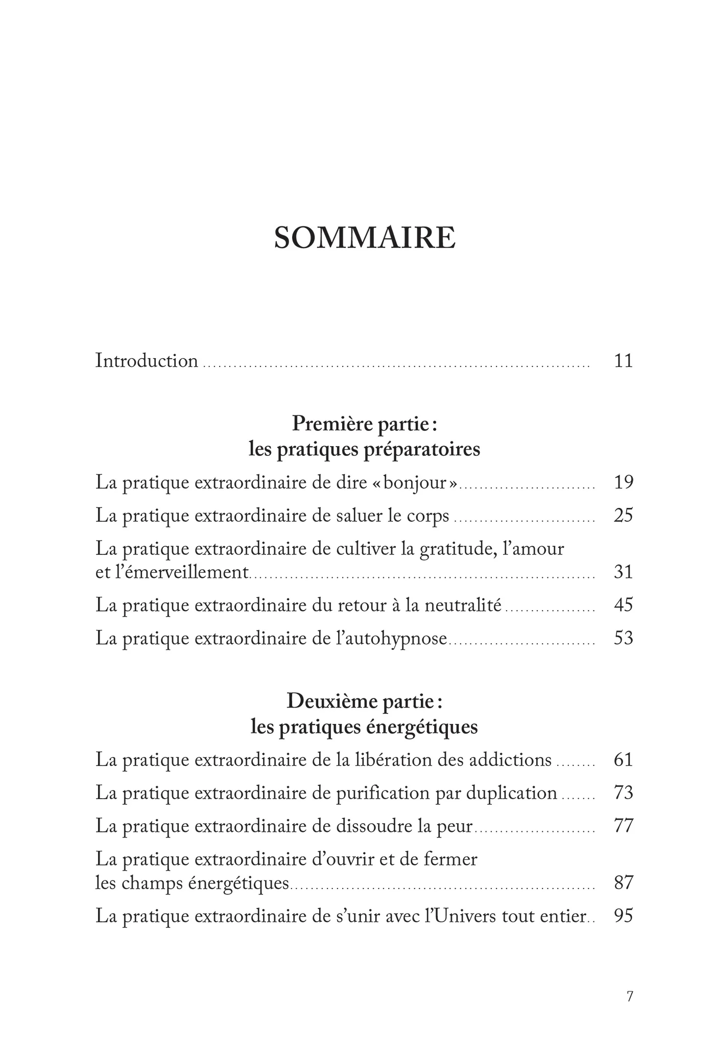 Le Guide des pratiques extraordinaires du chamane - Image 4