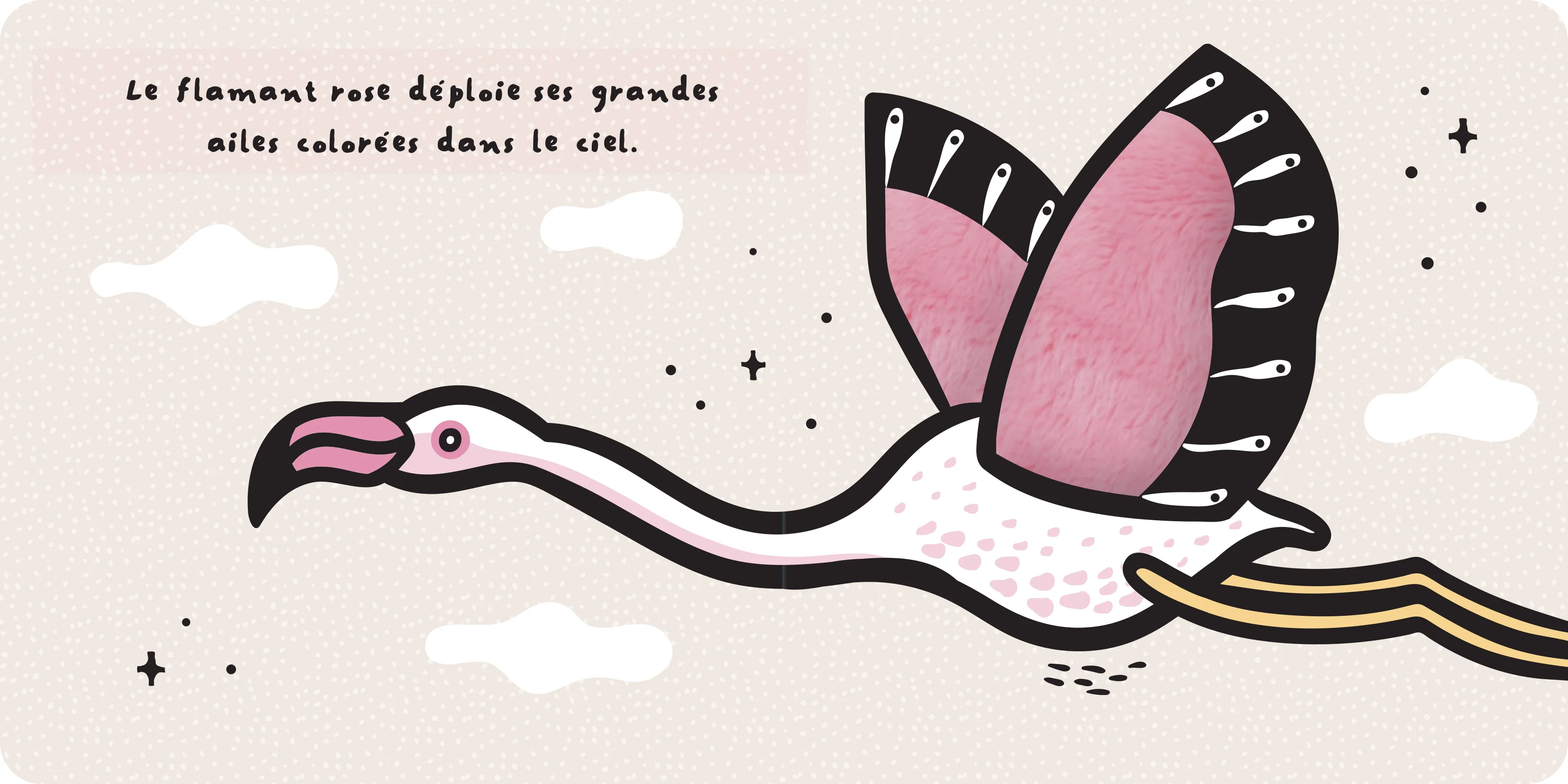 Du bout des doigts - Les ailes des animaux - Image 5