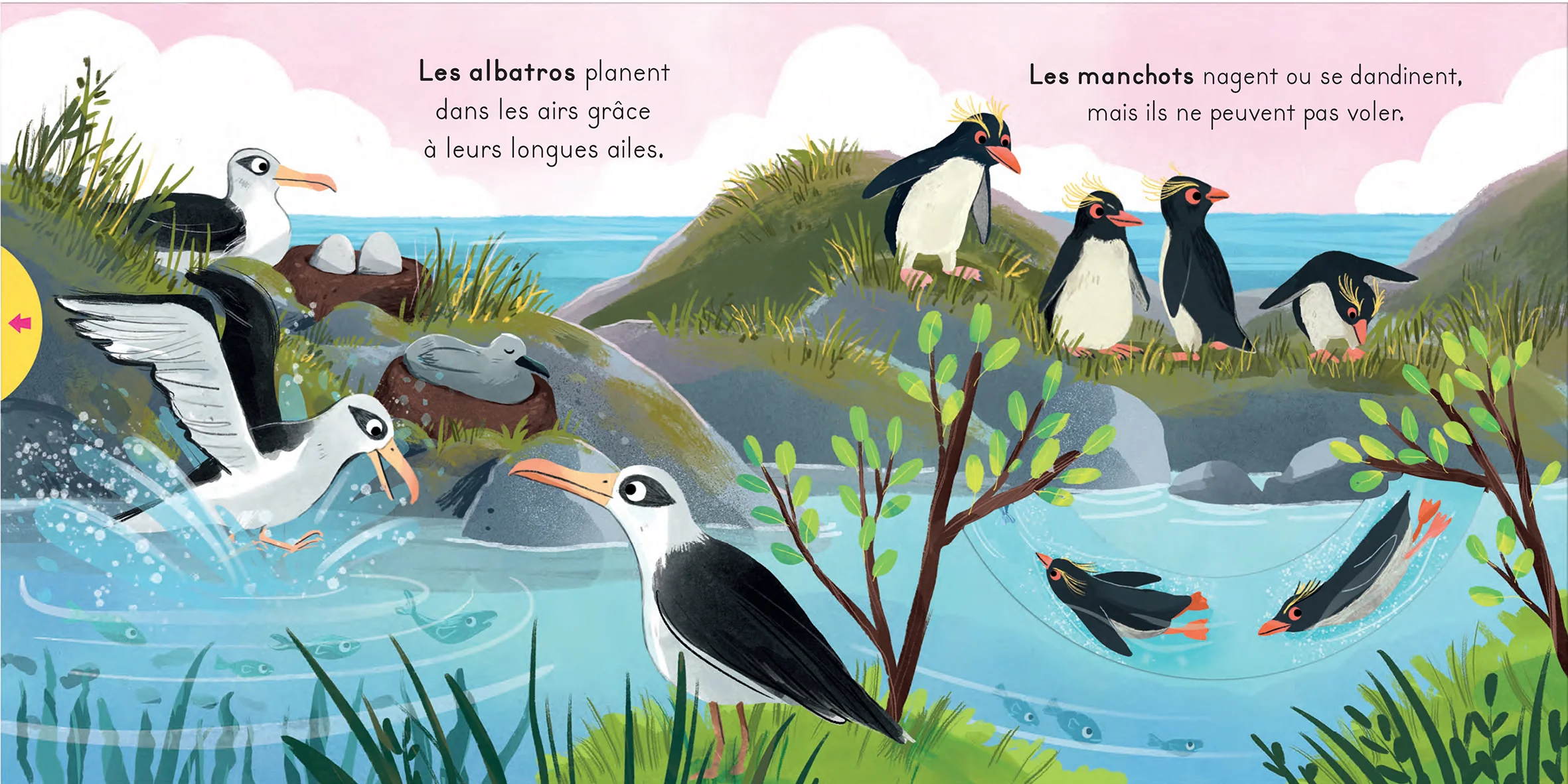 Les oiseaux - Avec des tirettes à chaque page ! - Image 2