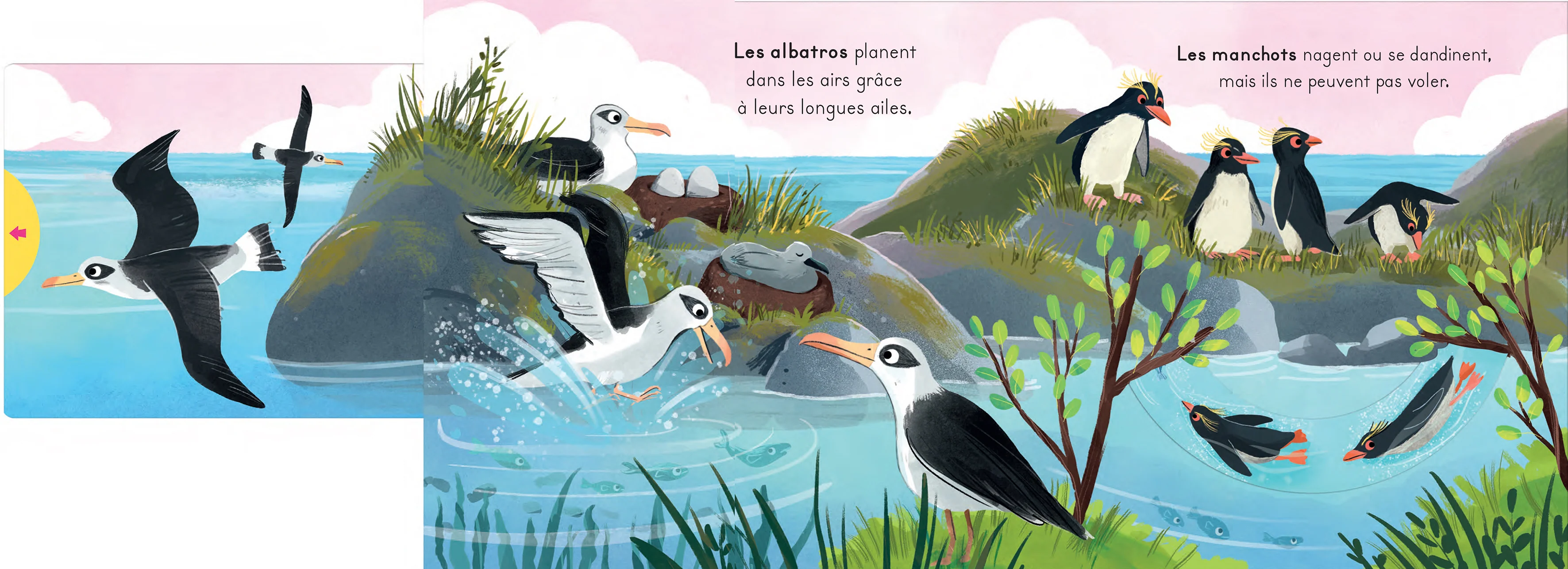 Les oiseaux - Avec des tirettes à chaque page ! - Image 3