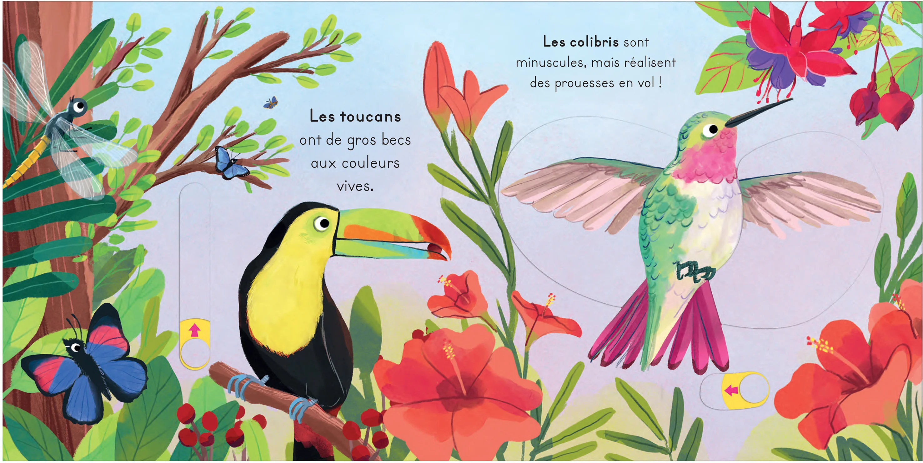 Les oiseaux - Avec des tirettes à chaque page ! - Image 4