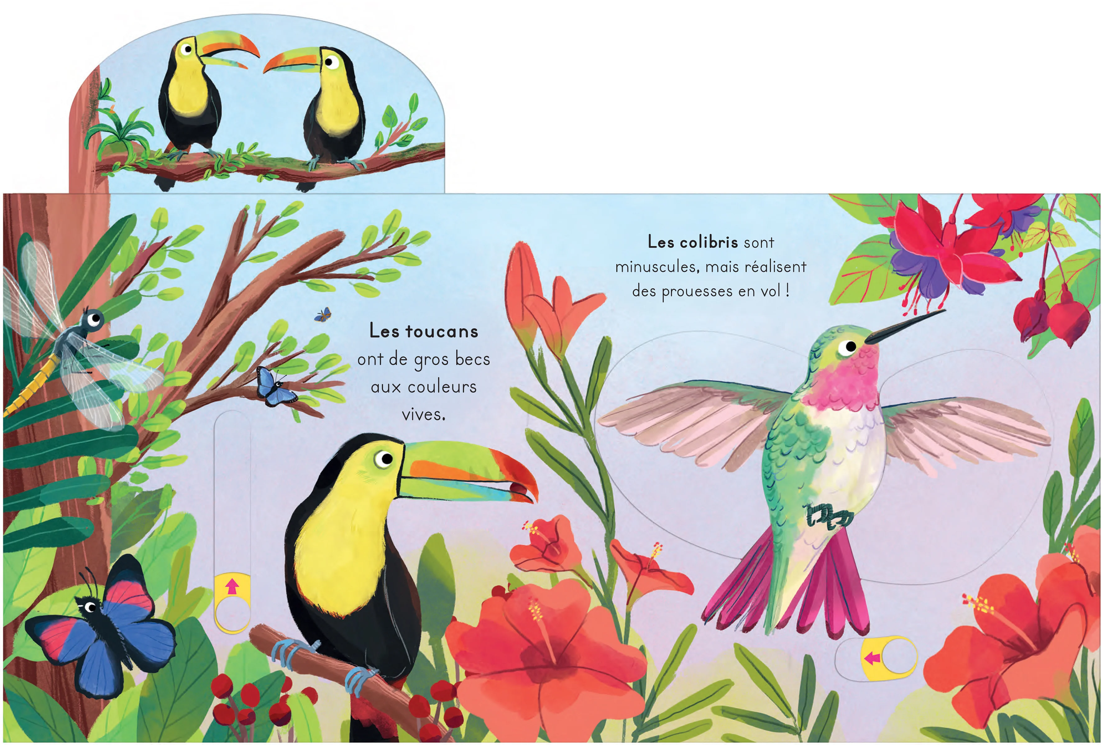Les oiseaux - Avec des tirettes à chaque page ! - Image 5