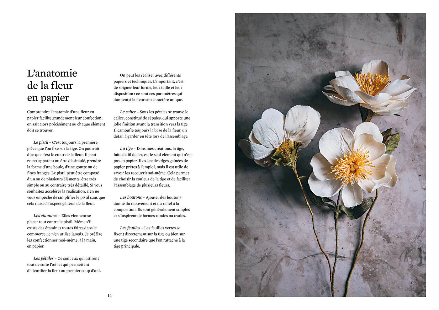 Fleurs en papier - Image 4