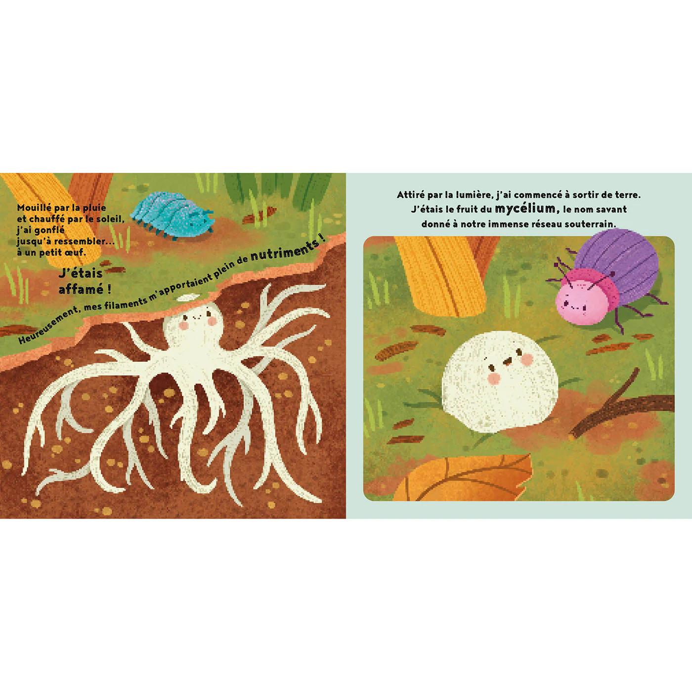 Le petit champignon - Image 3