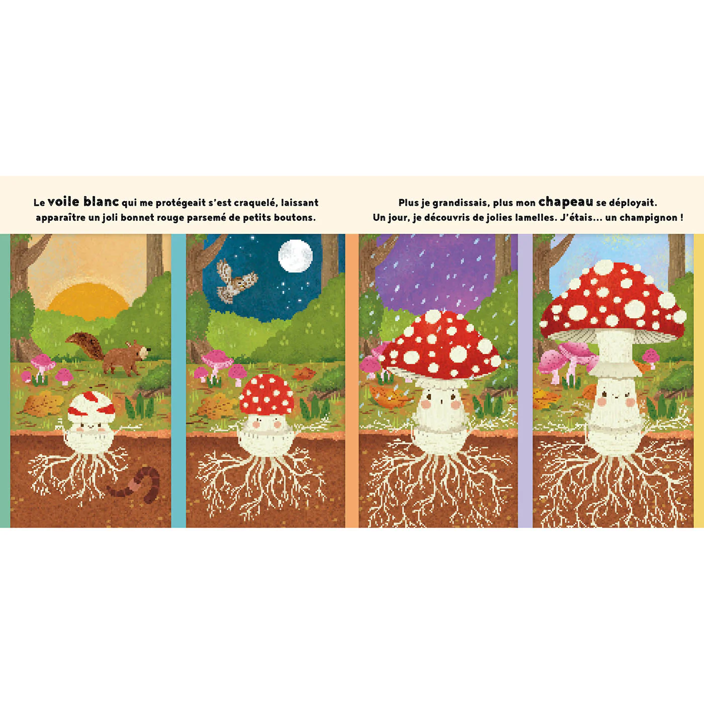 Le petit champignon - Image 4