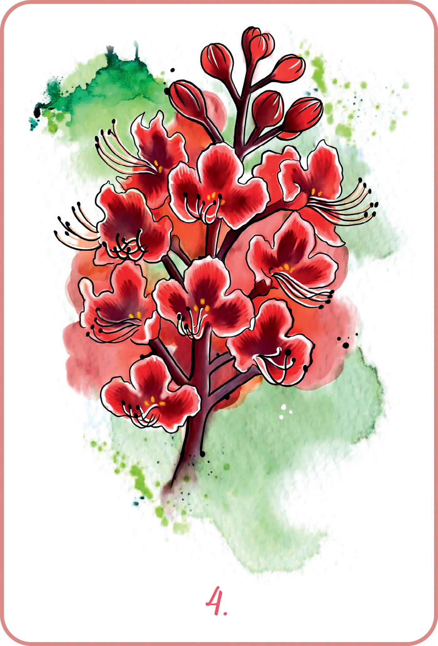 Mon oracle des fleurs de Bach - Image 4
