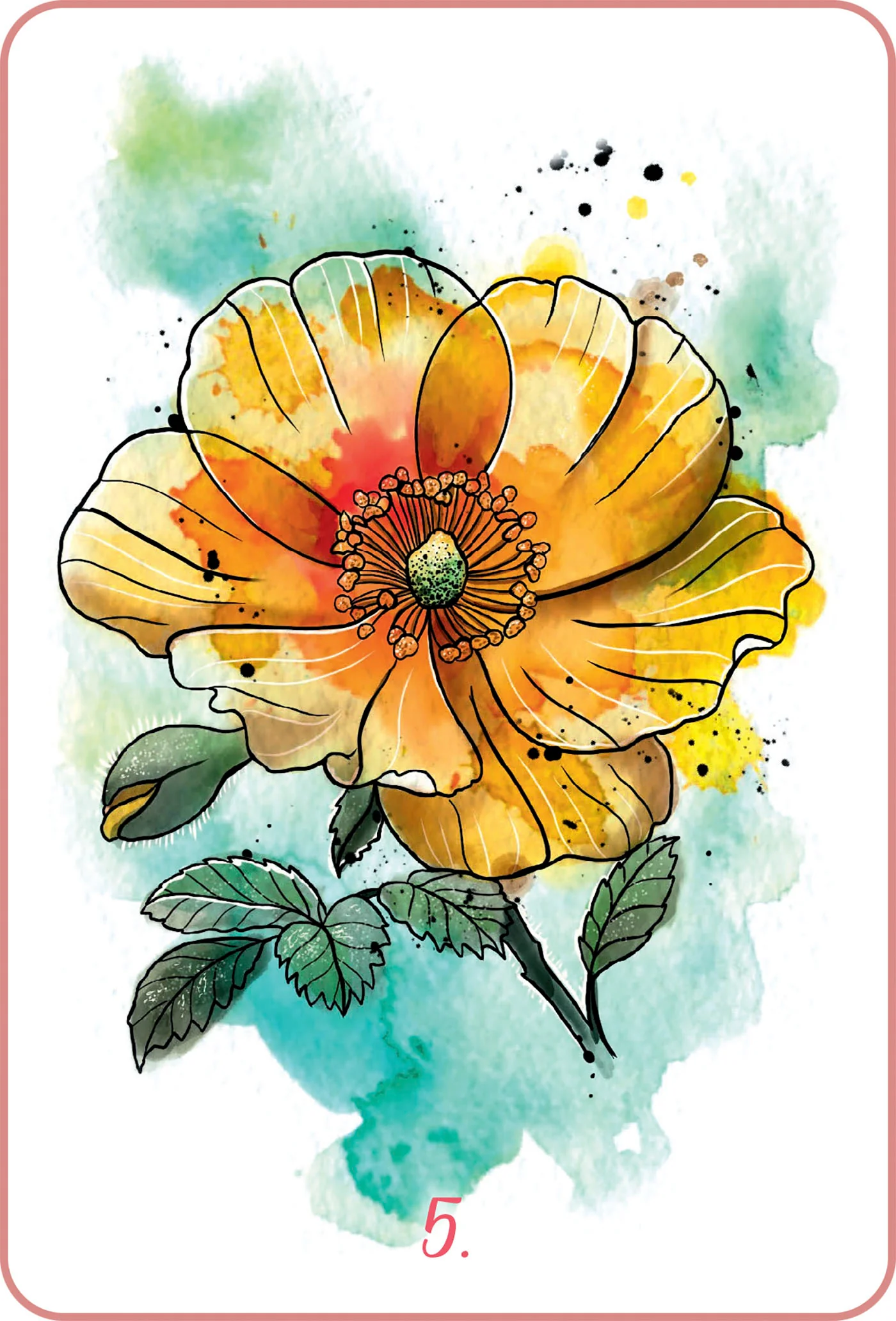 Mon oracle des fleurs de Bach - Image 6