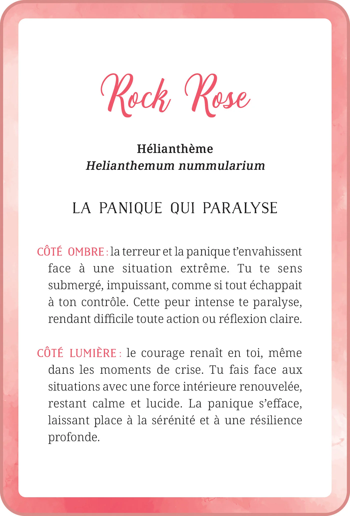Mon oracle des fleurs de Bach - Image 7